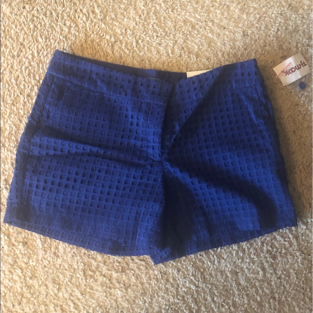 Never been worn Blue eyelet shorts. Still has tags